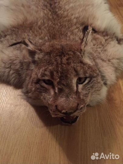 Шкура рыси (имитация)