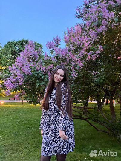 Репетитор по обществознанию огэ егэ