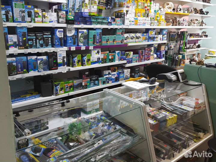 Боция клоун