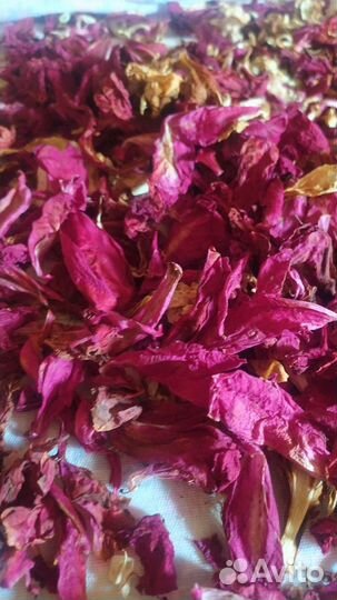 Травы. Лепестки пиона сушёные