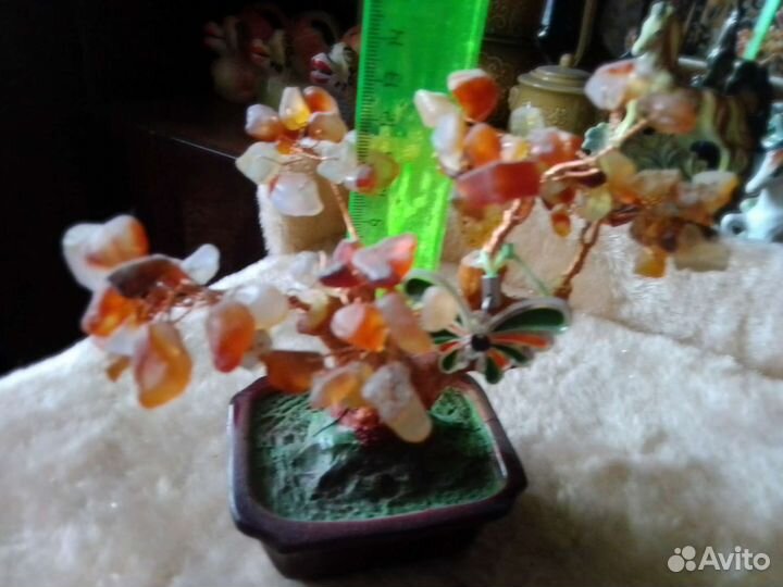 Дерево бонсай