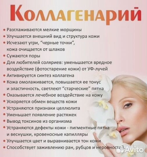 Коллагенарий горизонтальный