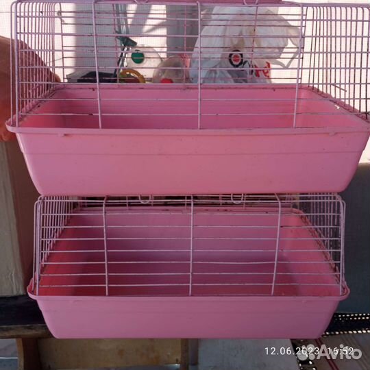 Клетка для морских свинок