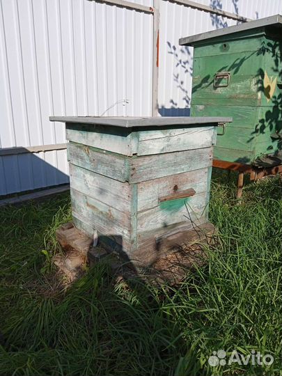 Улей для пчел