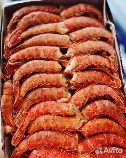 Лангустины.Креветки