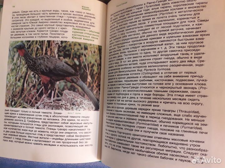 Заповедными тропами зарубежных стран