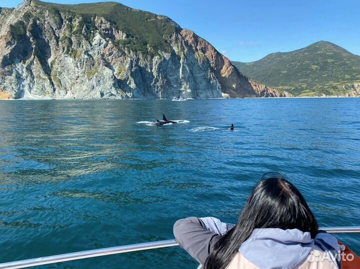 Тур на Камчатку/ морская прогулка к Бухте Русская