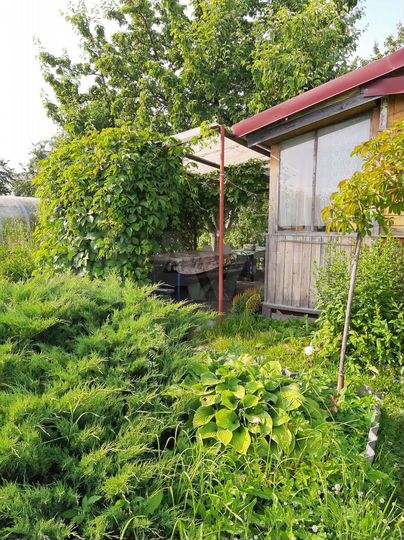 Дача 30,2 м² на участке 5,6 сот.