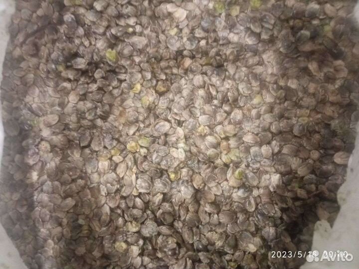 Жмых льна, кунжута, конопли и черного тмина