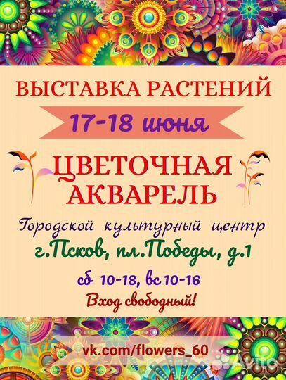 Сортовые фуксии