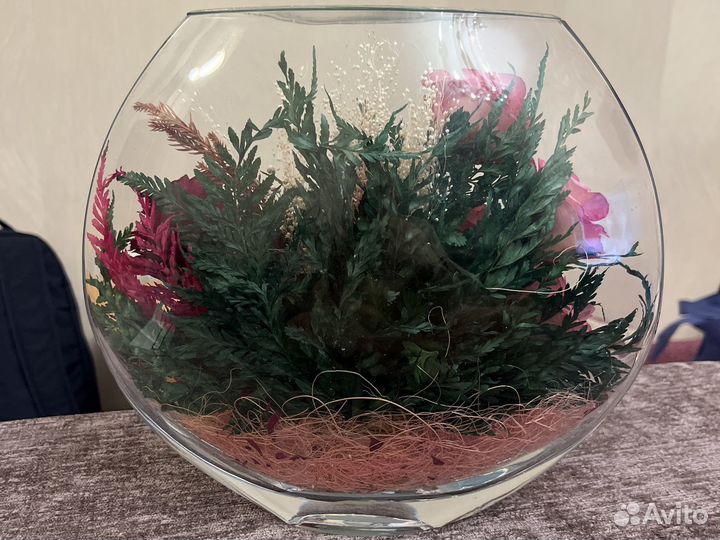 Стабилизированные цветы в стекле Роза