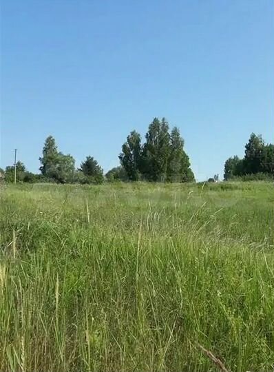 Участок 15 сот. (ИЖС)