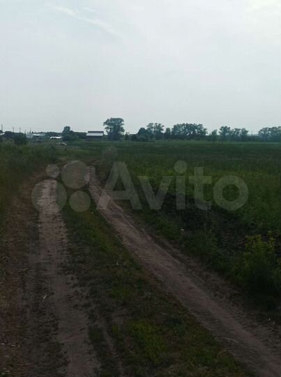 Участок 10 сот. (ИЖС)