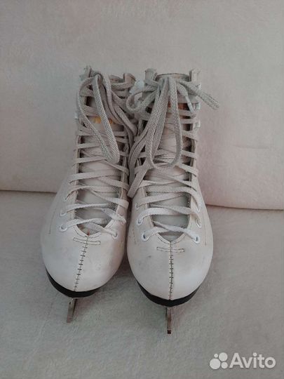 Коньки фигурные граф монтана р.31