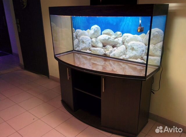 Аквариум 440 полукруглый, биофильтр, свет, тумба