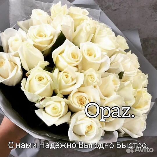 Букет 31 роза