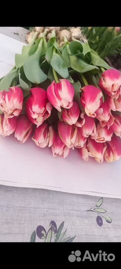 Букеты цветы тюльпаны