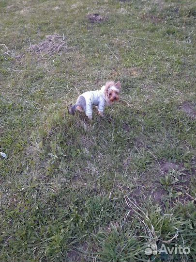 Комбинезон для мальчика