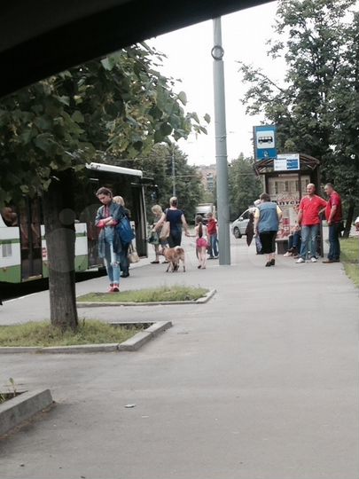 Торговая площадь, 50 м²