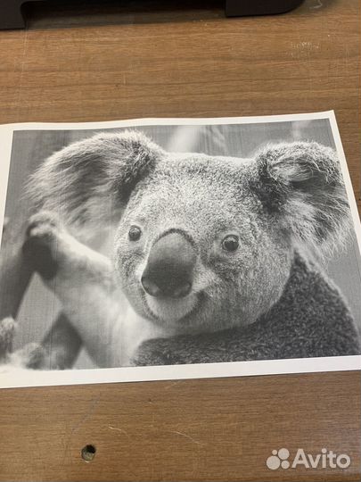 Принтер лазерный Brother hl-2240r