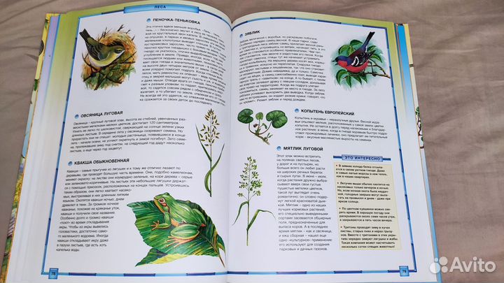 Энциклопедия природа России