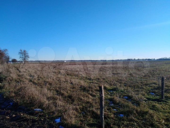 Участок 95 сот. (СНТ, ДНП)