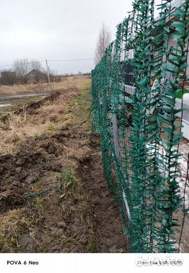 Сетка сварная для забора рулонная