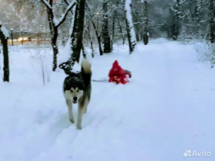 Предлогаю для вязки