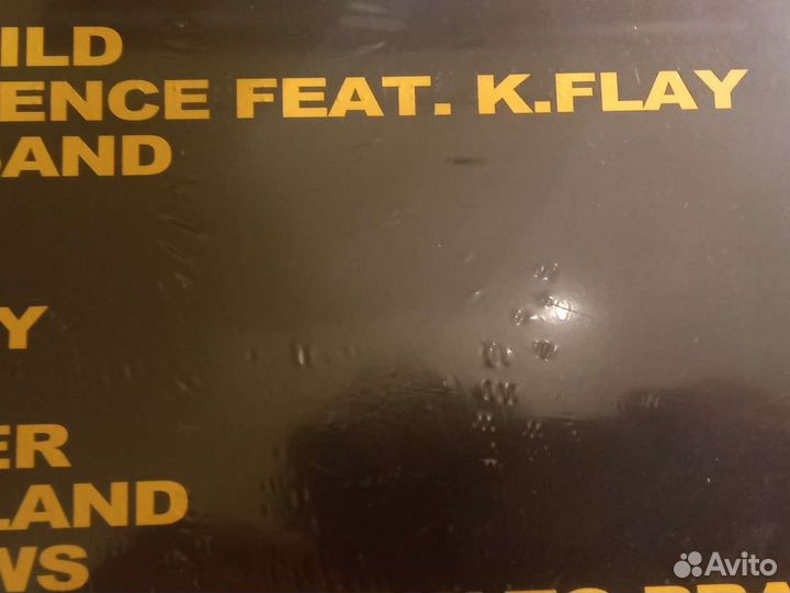 X Ambassadors Orion LP