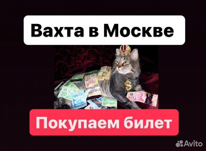 Сортировщики посылок вахта без опыта билет купим