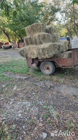 Сено разнотравье луговое. С дома с сеника