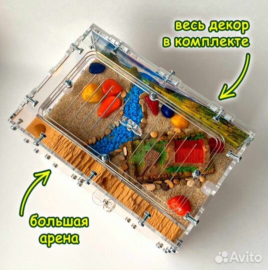 Муравьиная ферма Стандарт (Новые)