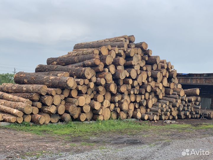 Услуга распиловки древесины