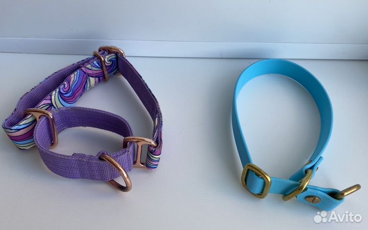 Амуниция для собак