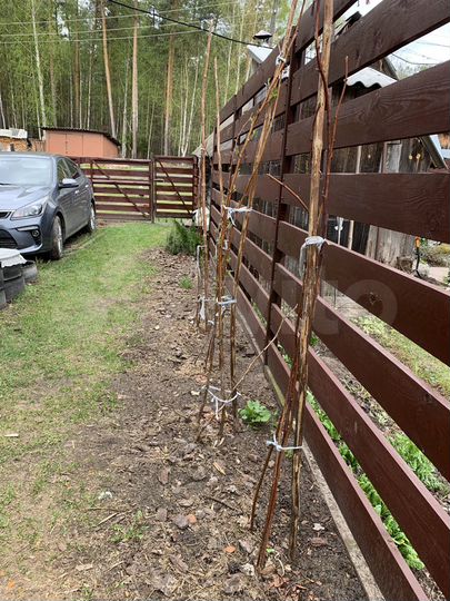 Дом 42 м² на участке 2 сот.