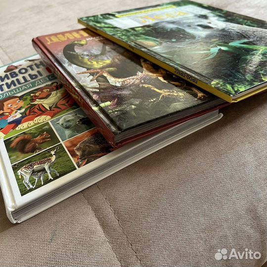 Большая детская энциклопедия для детей