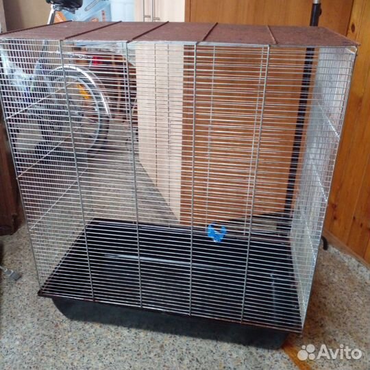 Большая Клетка