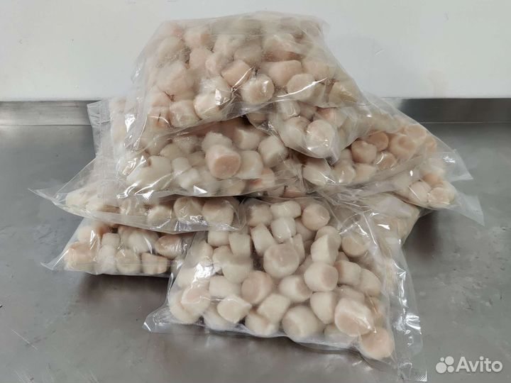 Морской гребешок