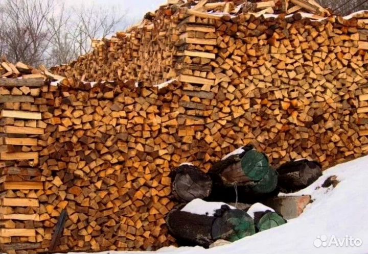Дрова в область