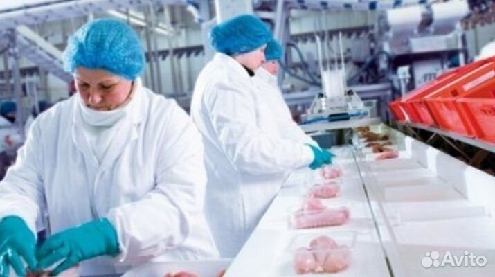 Упаковщик\ца на птицефабрику\п Куженер