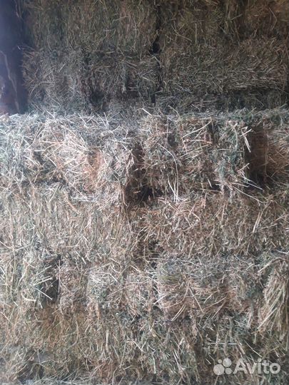 Корма для сельскохозяйственных животных