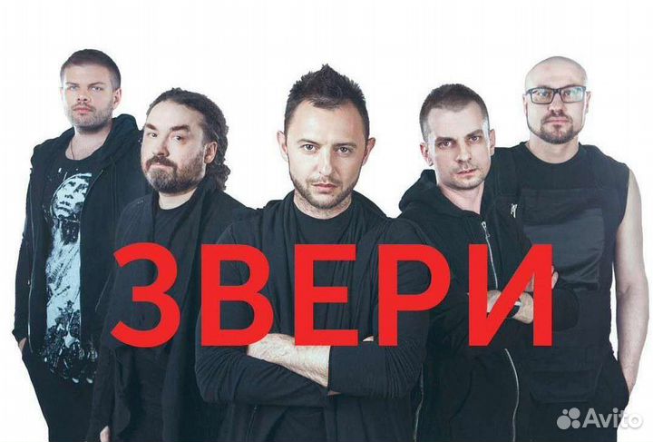 Билеты на концерт. звери группа