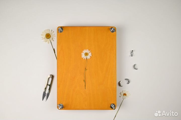 Гербарный пресс 22*31 см лиственница пивной картон