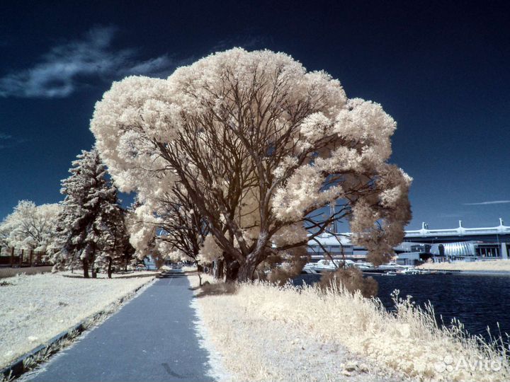 Инфракрасный фотоаппарат Panasonic, Full Spectrum