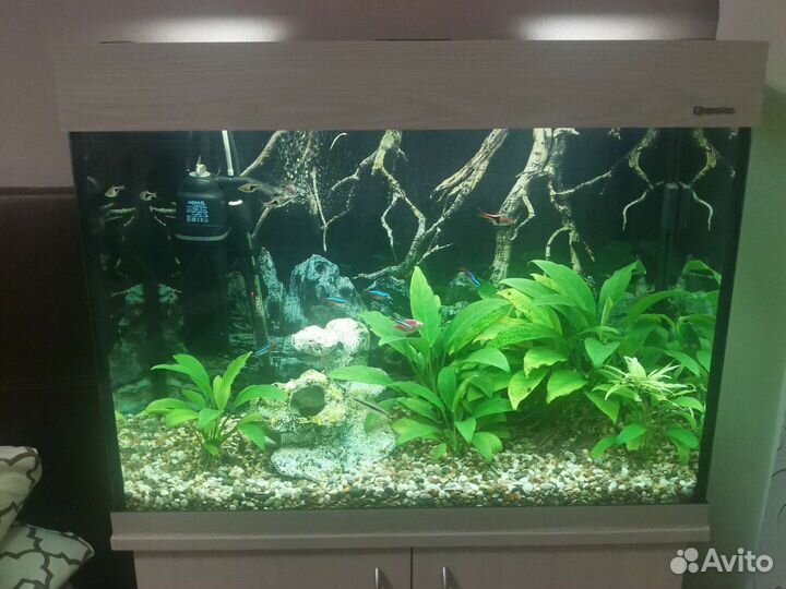 Аквариум акваплюс со всем оборудованием