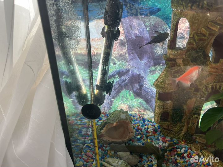 Аквариум
