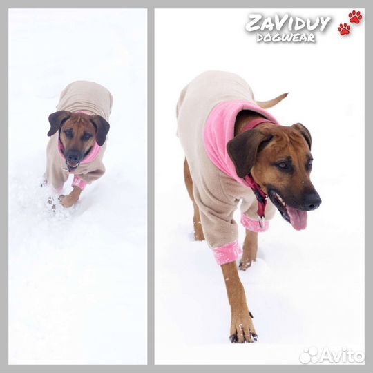 Одежда (попона) для собак крупных пород