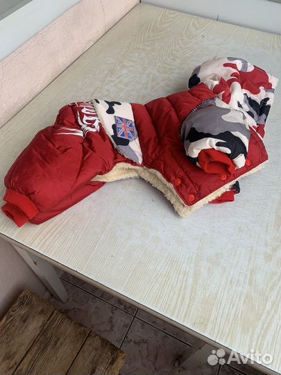 Одежда для маленьких собак