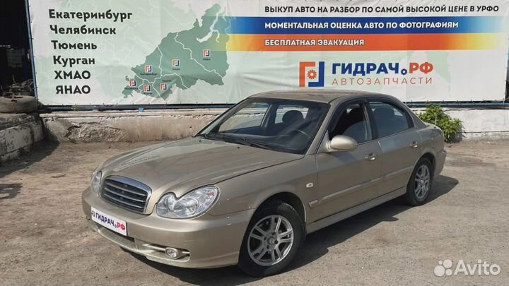 Стекло двери задней правой Hyundai Sonata (EF) 834