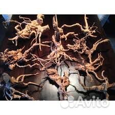 Коряги. Корни азалии. Виноградная лоза